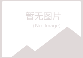 金山区冰夏快递有限公司